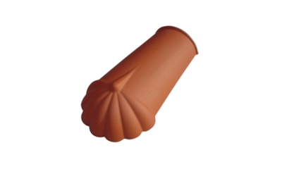 Pata Leão LÓGICA LUSA