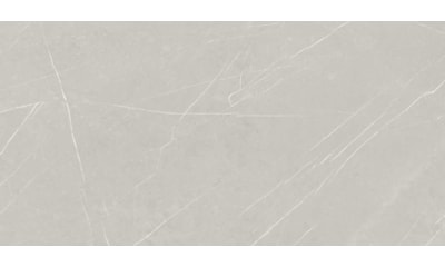 MOSAICO TAU 60X120 LOTUS SILVER 1ª